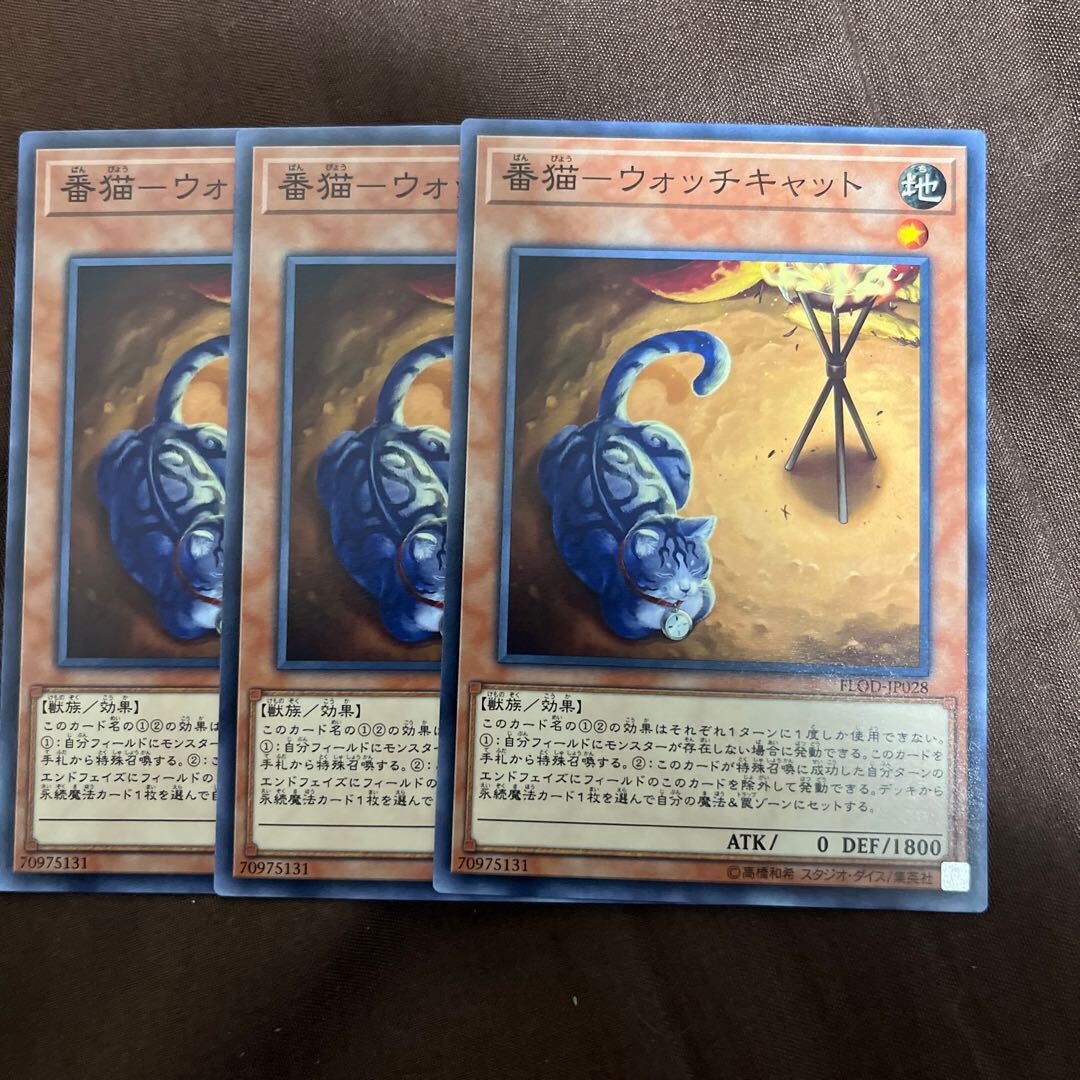 番猫-ウォッチキャット