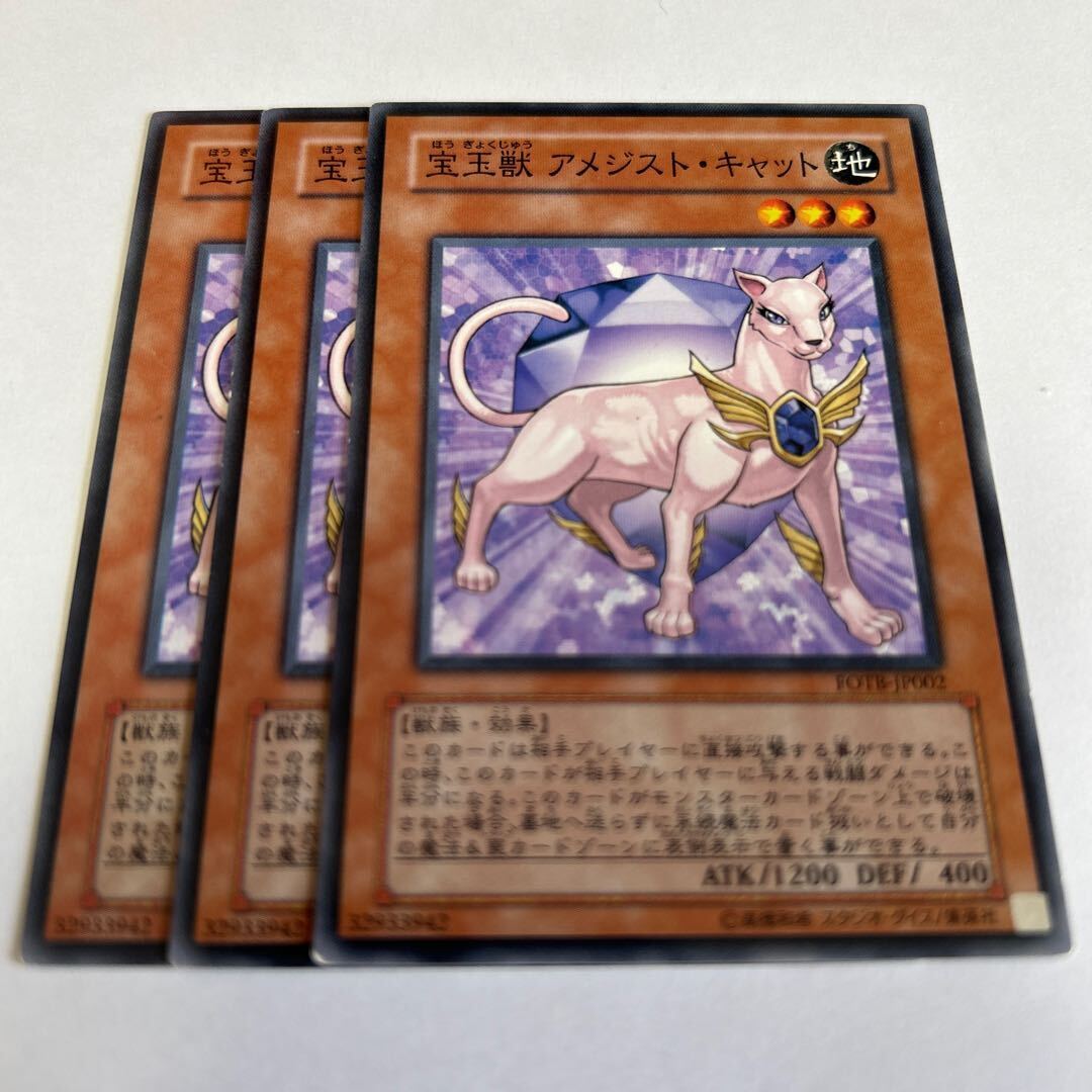 宝玉獣 アメジスト・キャット