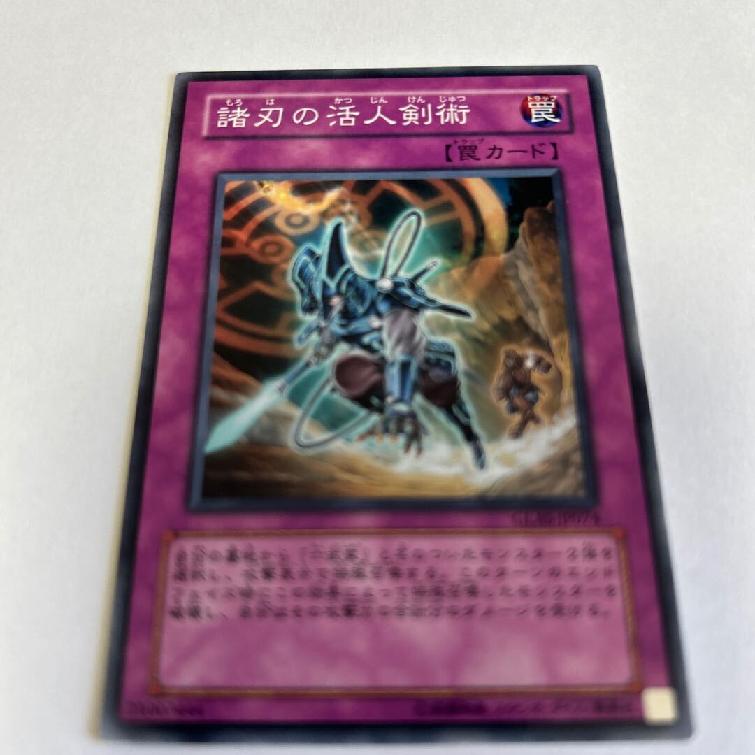 諸刃の活人剣術