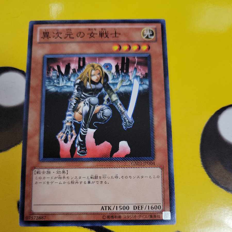 異次元の女戦士