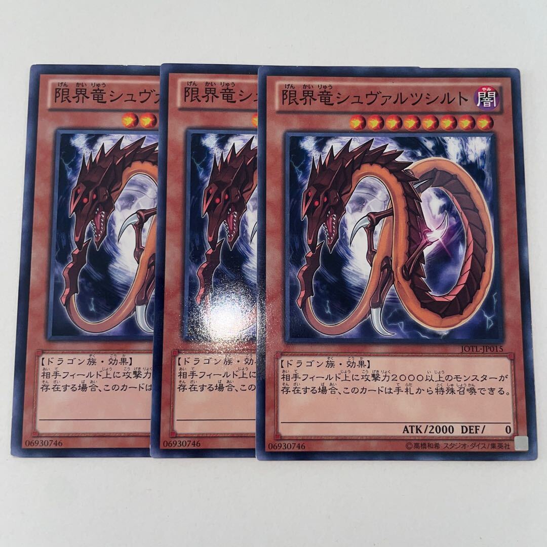 限界竜シュヴァルツシルト