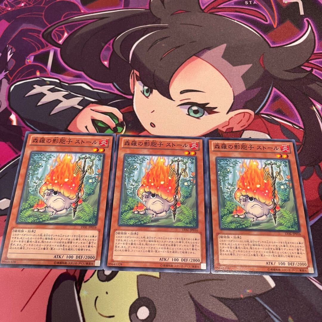 森羅の影胞子 ストール