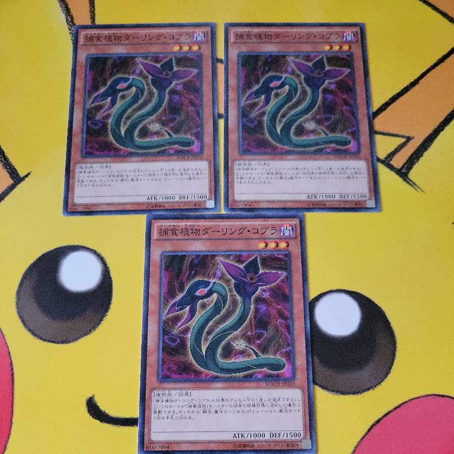 Predaplant Darlingtonia Cobra