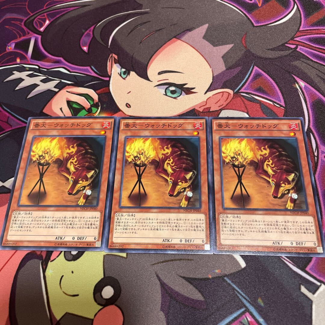 Watchdog-ウォッチドッグ