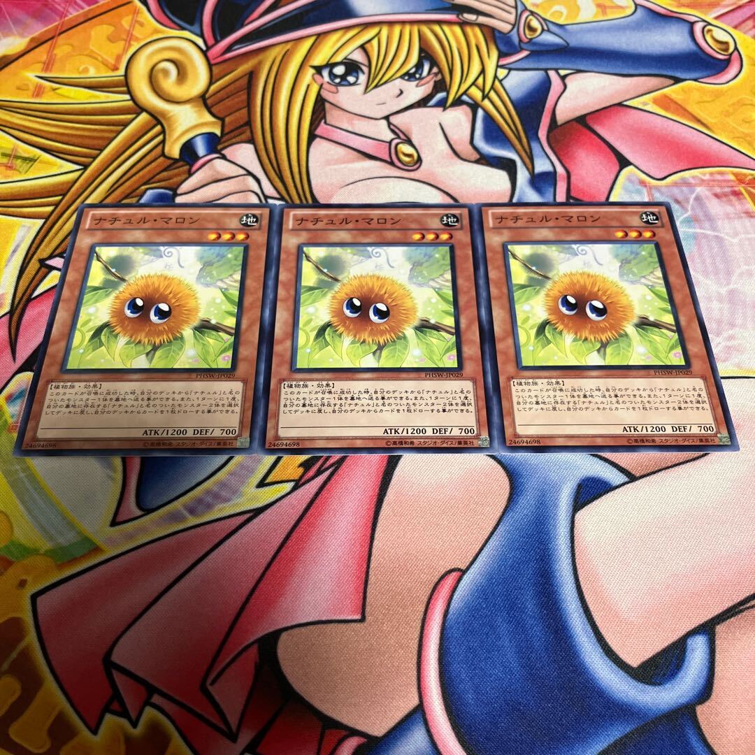 ナチュル・マロン