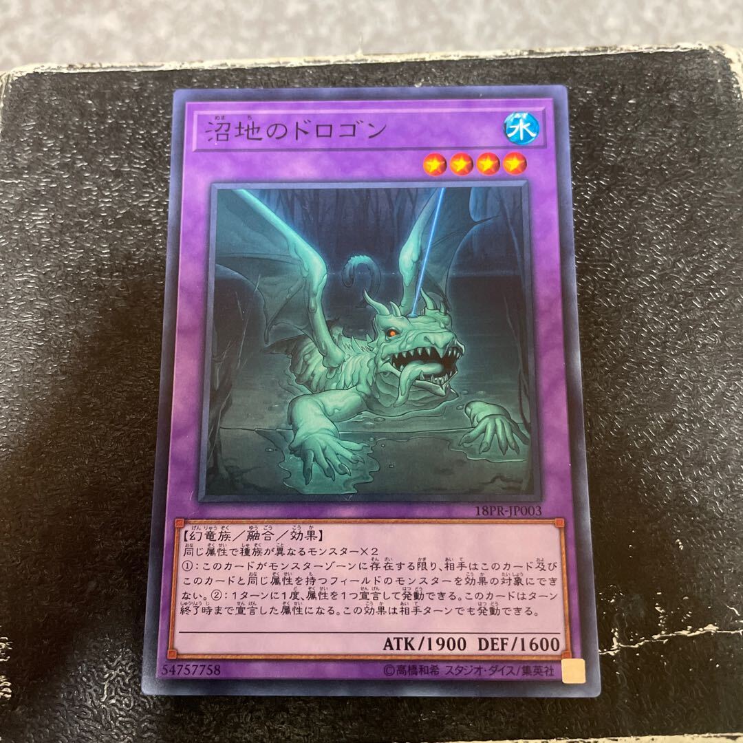 沼地のドロゴン