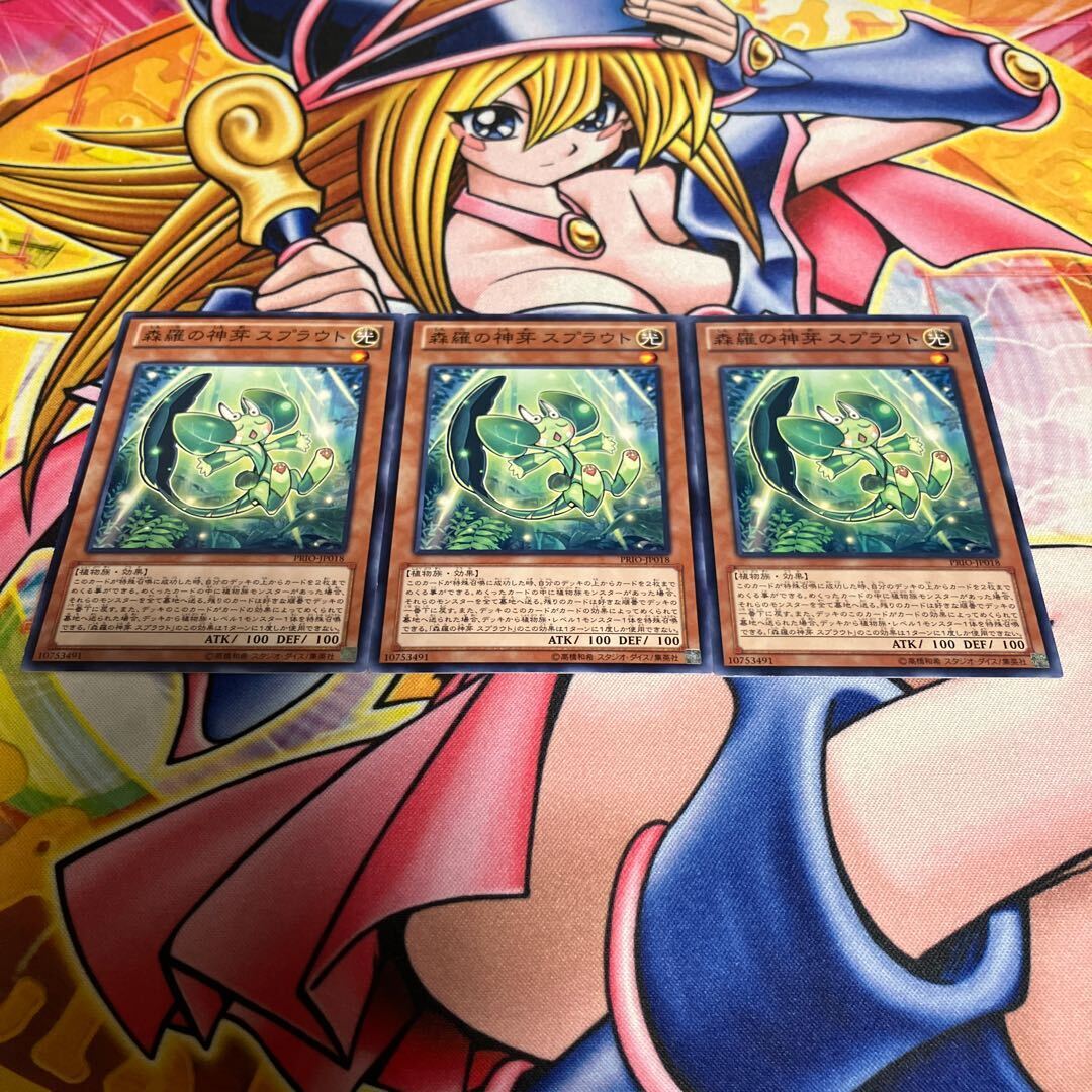 森羅の神芽 スプラウト