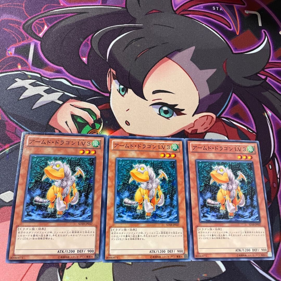 アームド・ドラゴン LV3