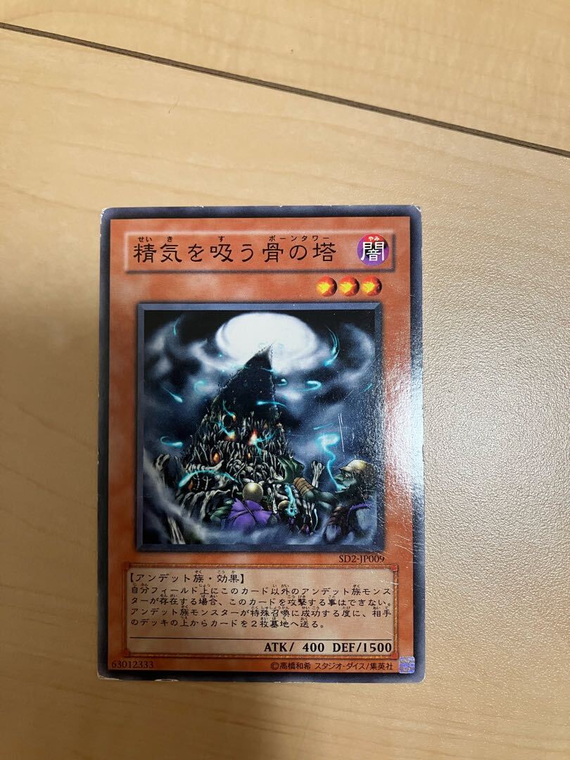 精気を吸う骨の塔