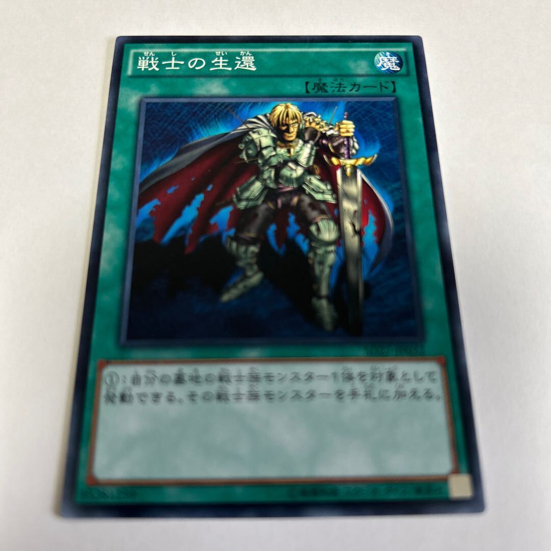 The Warrior Returning Alive