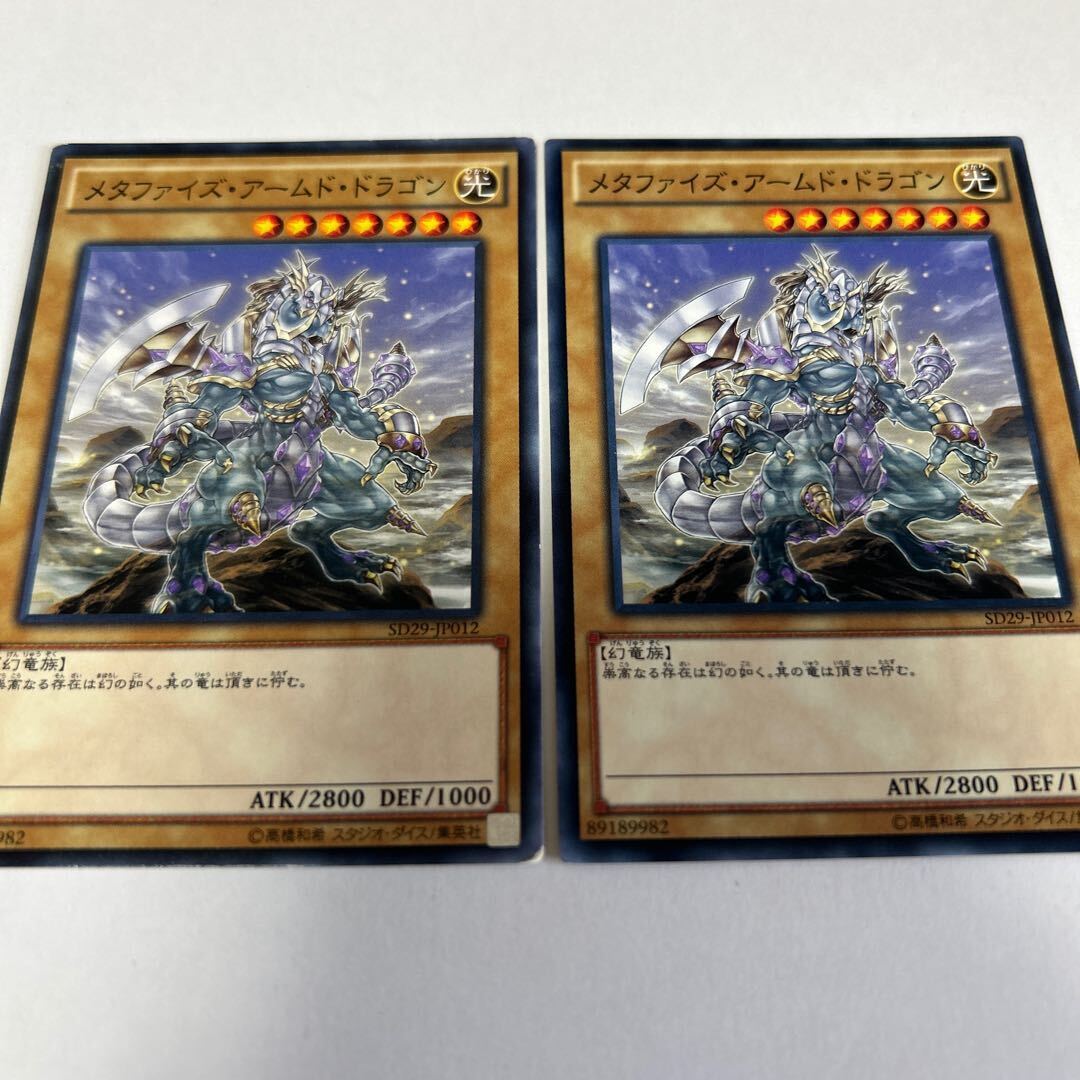 Metaphys Armed Dragon