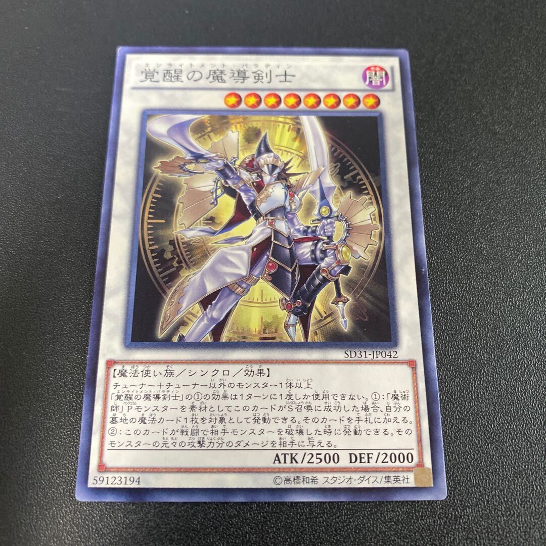 Enlightenment Paladin