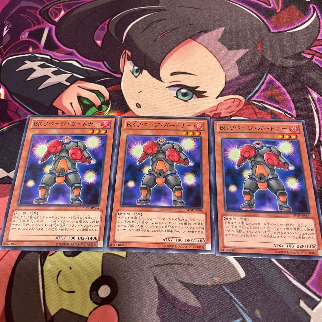 BK リベージ・ガードナー