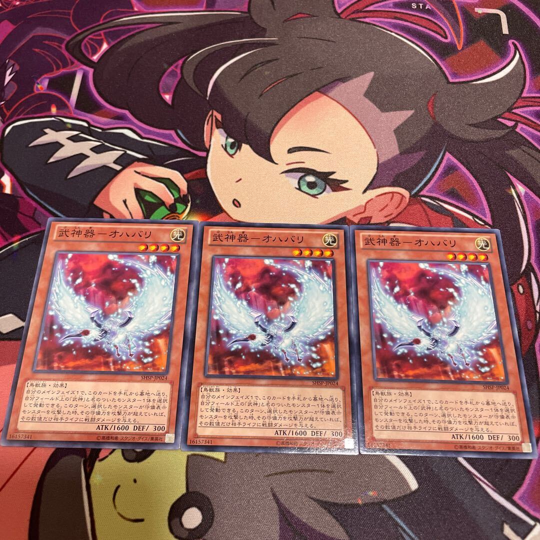 武神器-オハバリ