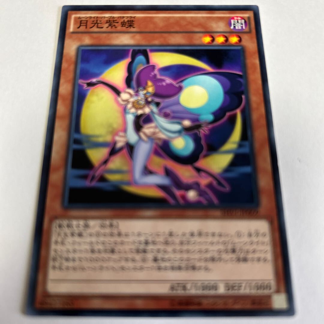 Lunalight Purple Butterfly