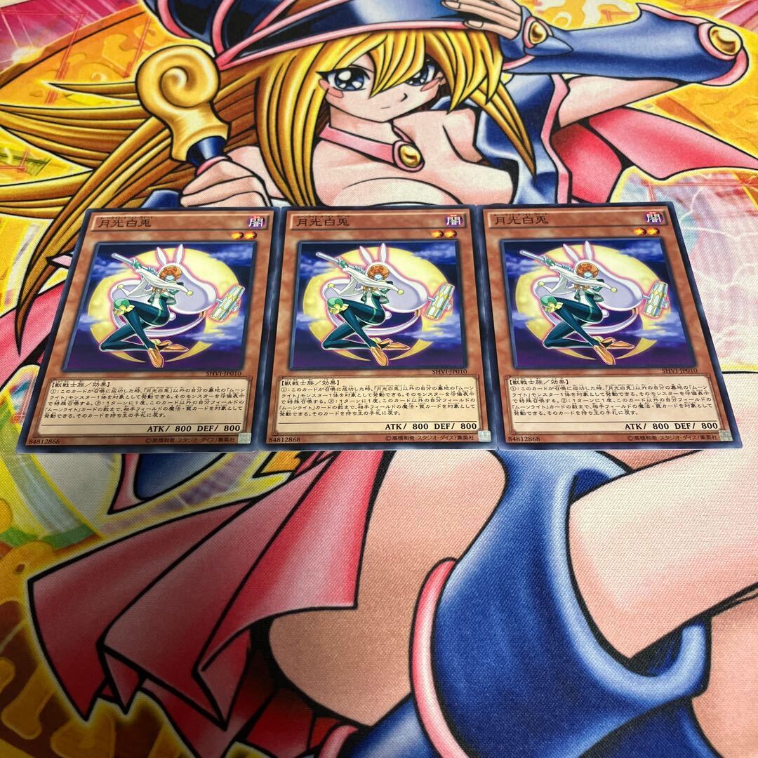 Lunalight White Rabbit