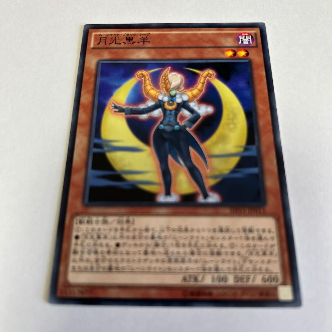 Lunalight Black Sheep