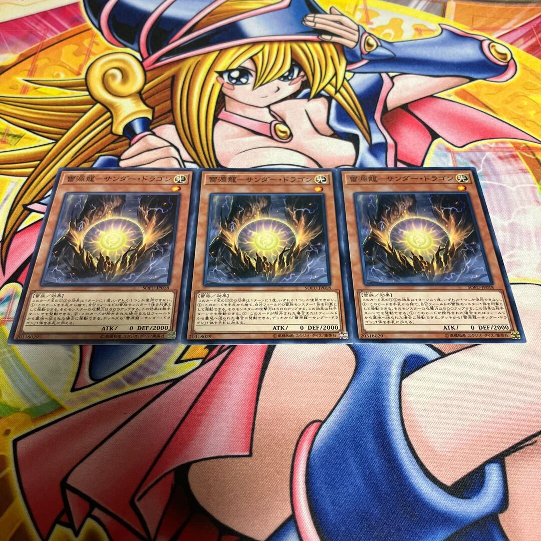 雷源龍-サンダー・ドラゴン