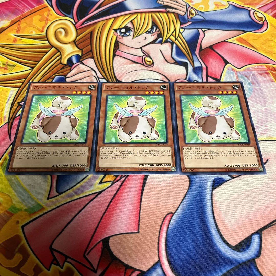 ファーニマル・ドッグ