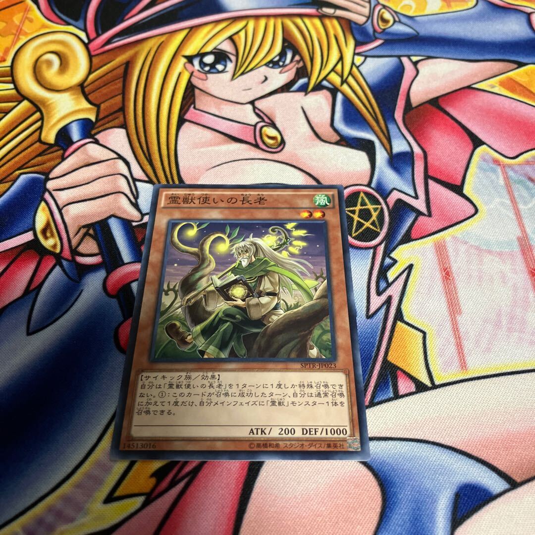 霊獣使いの長老