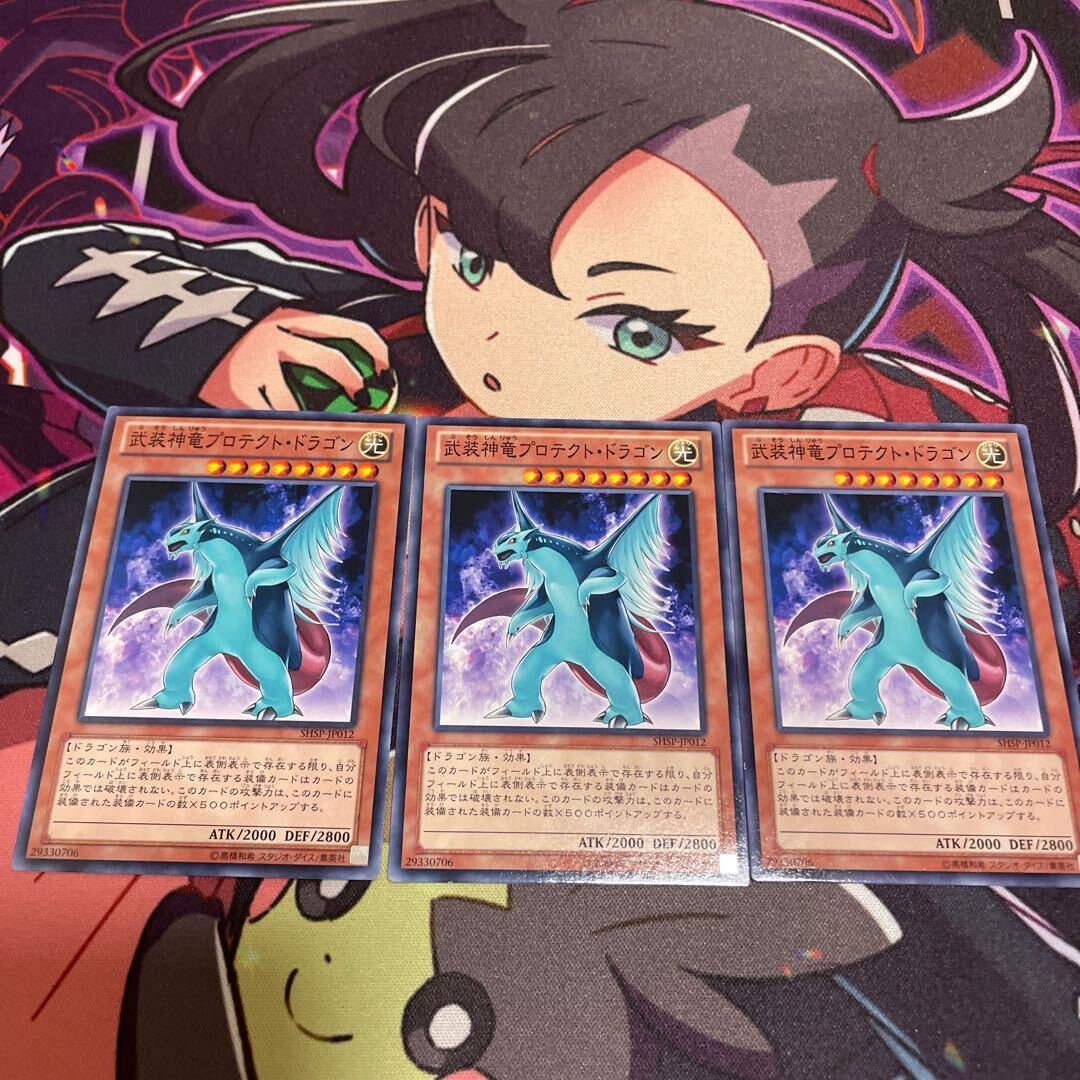 Armed Protector Dragon