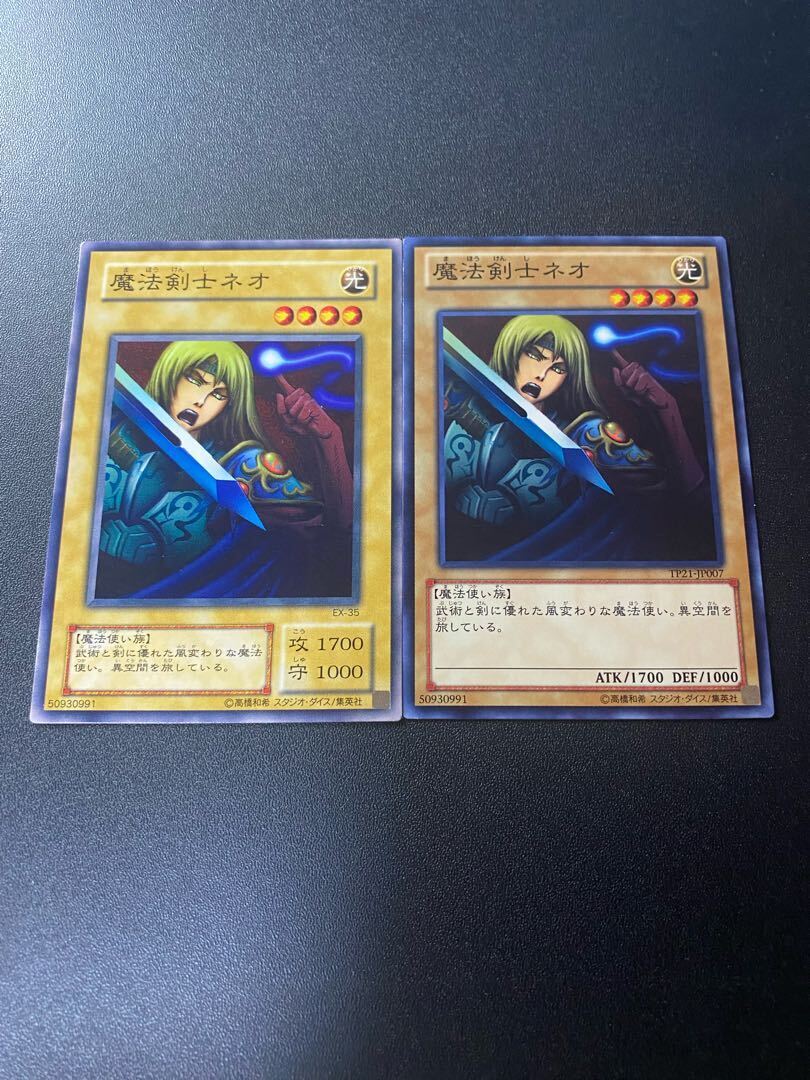 Neo the Magic Swordsman