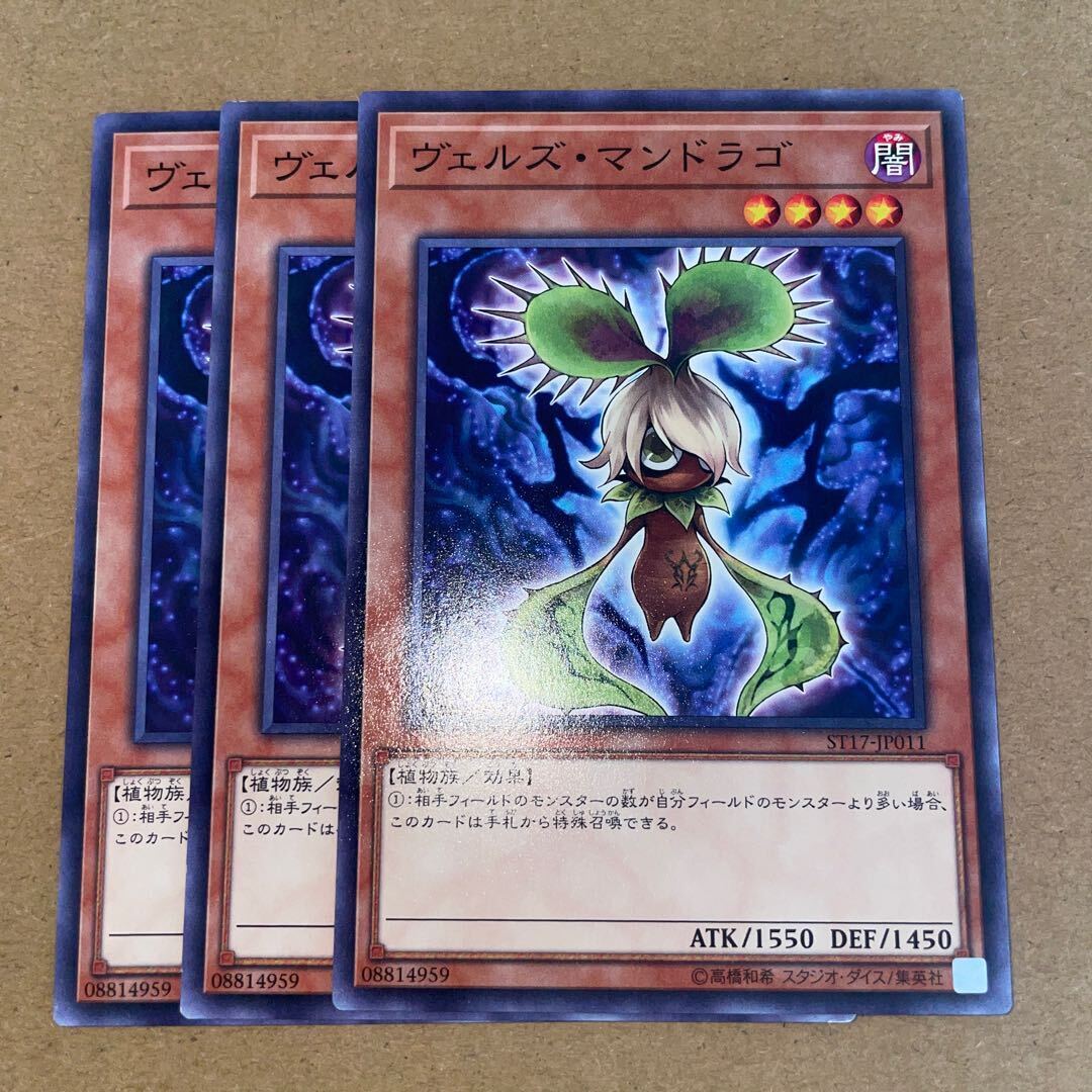 ヴェルズ・マンドラゴ