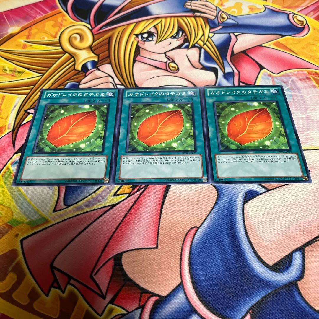 ガオドレイクのタテガミ