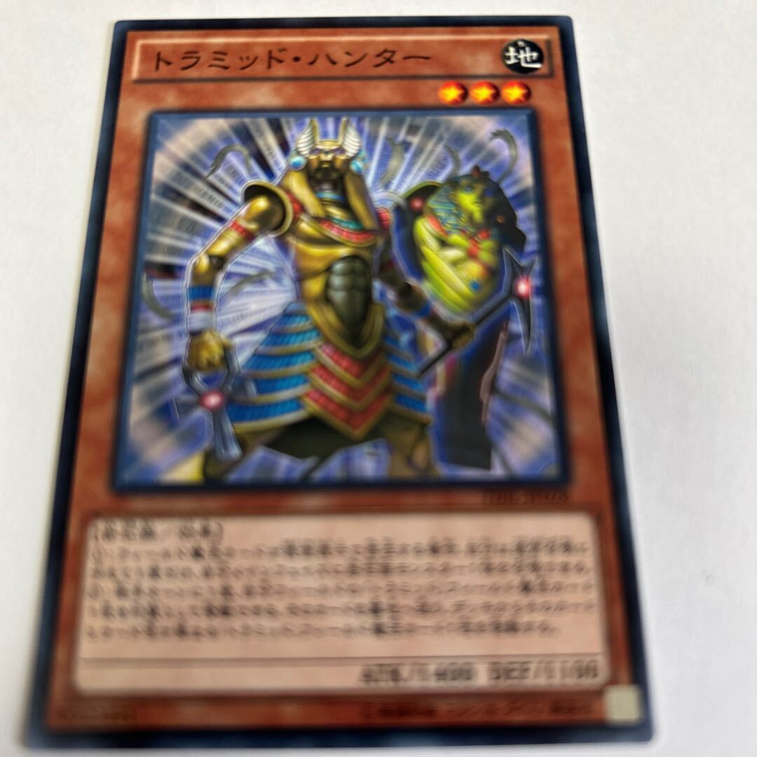 トラミッド・ハンター