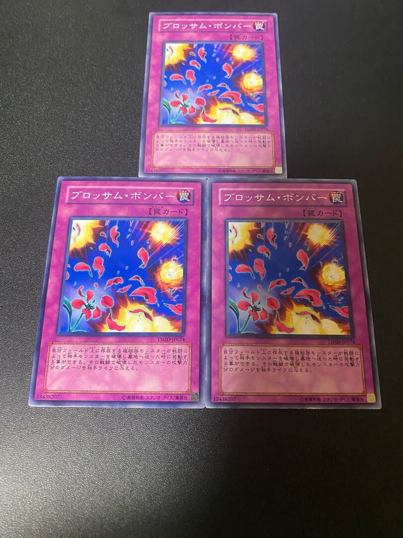 ブロッサム・ボンバー