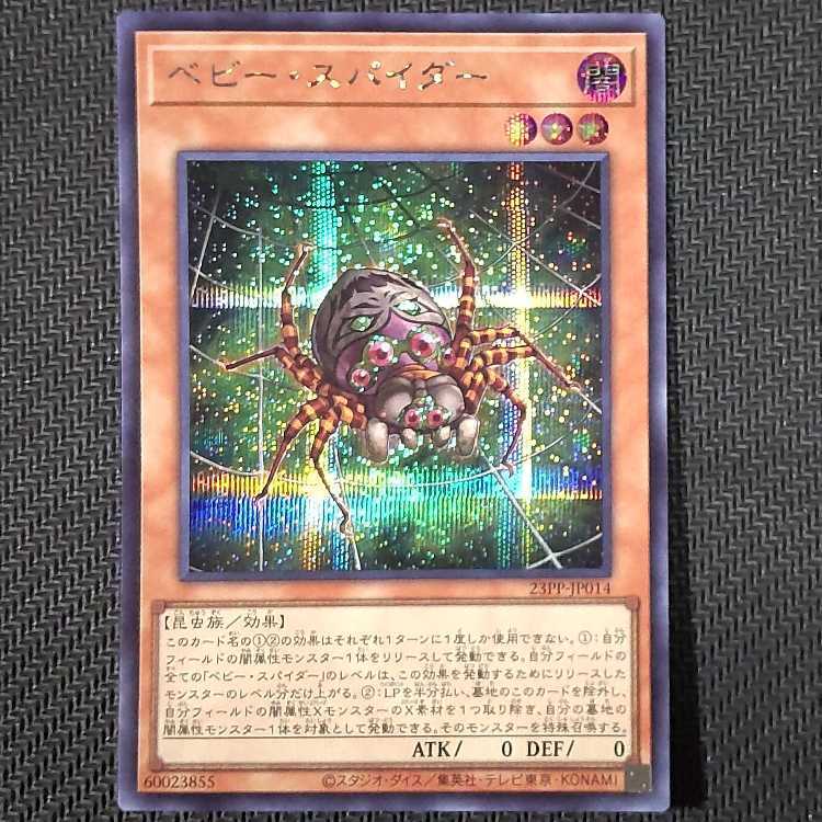 ベビー・スパイダー