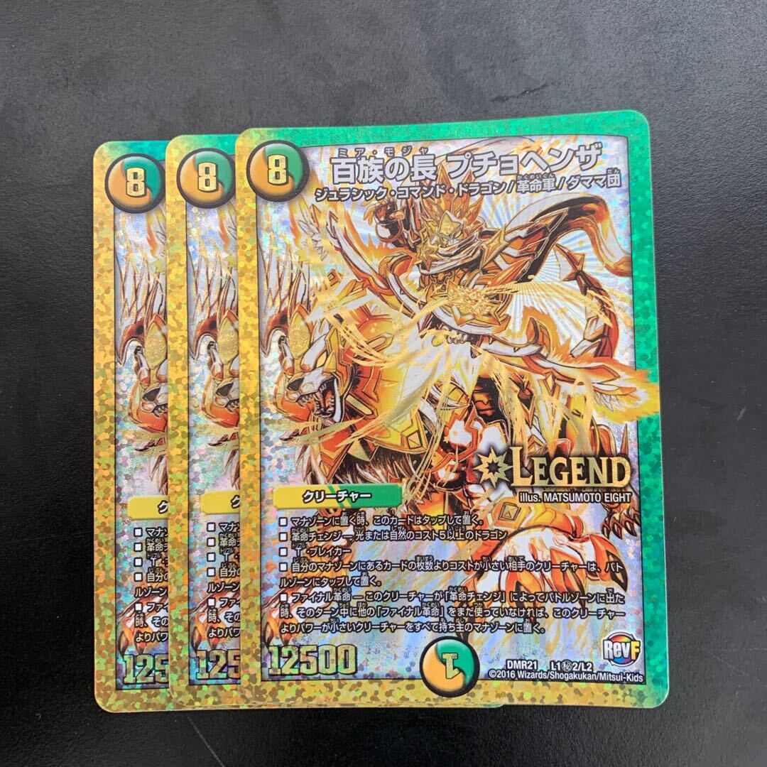 百族の長 プチョヘンザ