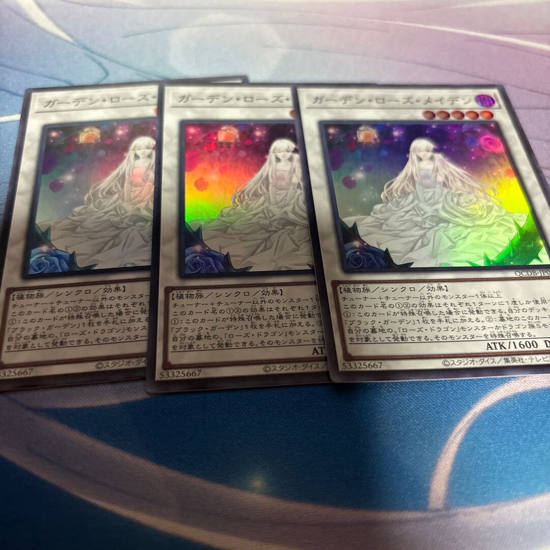 ガーデン・ローズ・メイデン