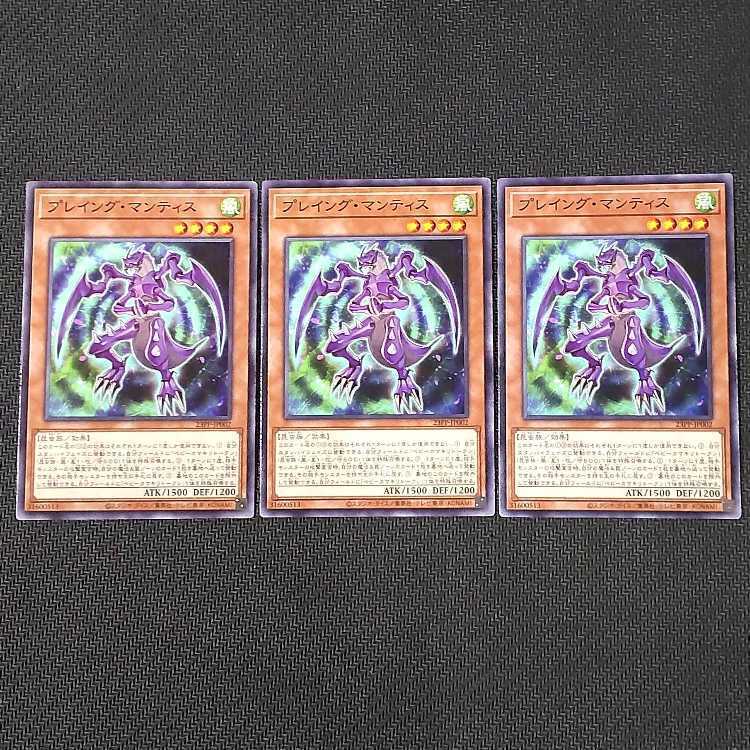 プレイング・マンティス