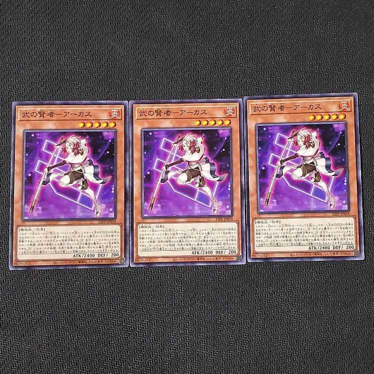 武の賢者-アーカス