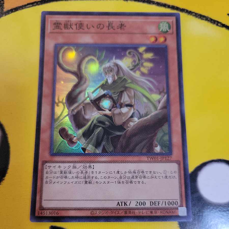 霊獣使いの長老