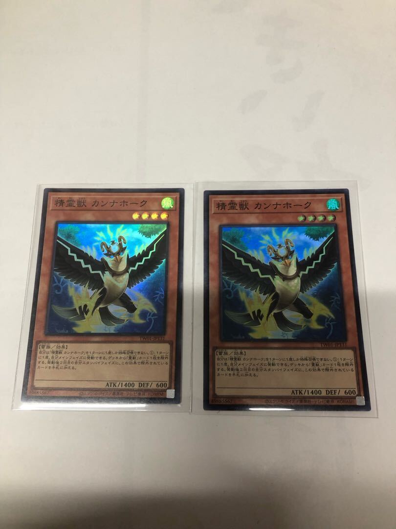 精霊獣 カンナホーク