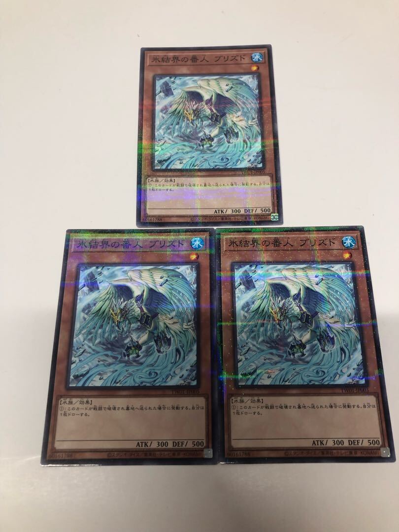 氷結界の番人 ブリズド