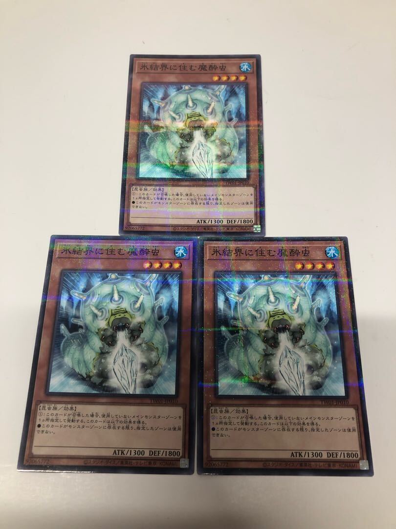 氷結界に住む魔酔虫