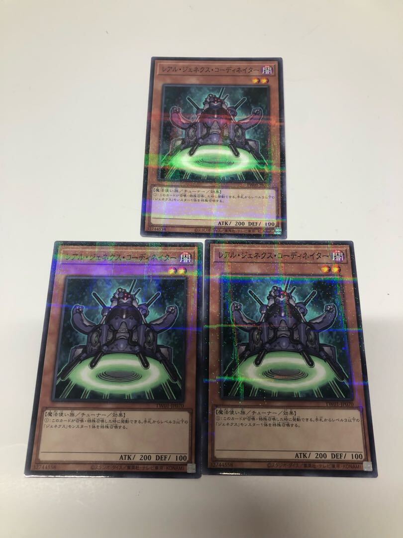 レアル・ジェネクス・コーディネイター