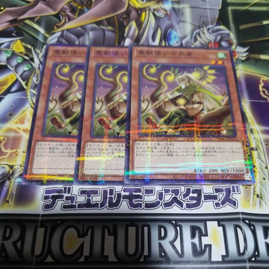 霊獣使いの長老