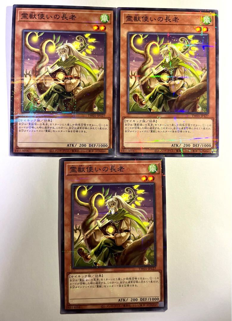 霊獣使いの長老