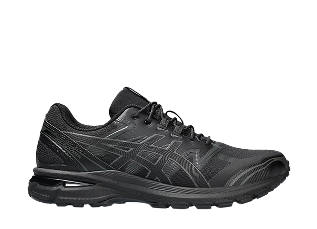 Asics Gel-Terrain "Black/Black"