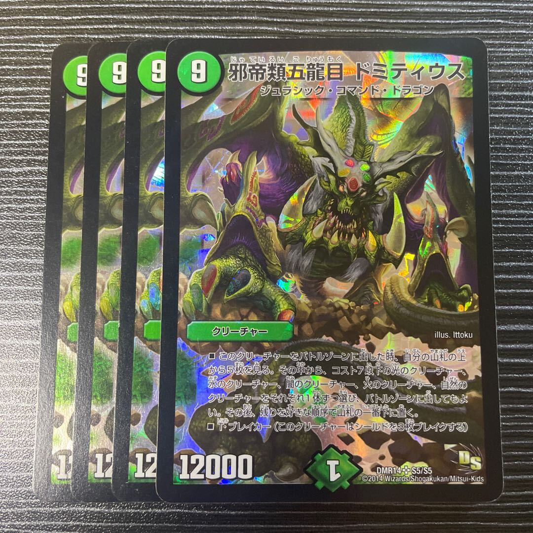 邪帝類五龍目 ドミティウス