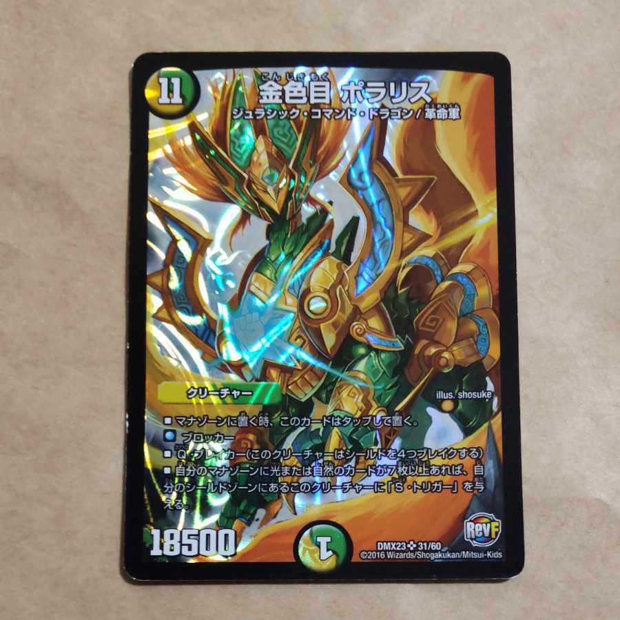 金色目 ポラリス