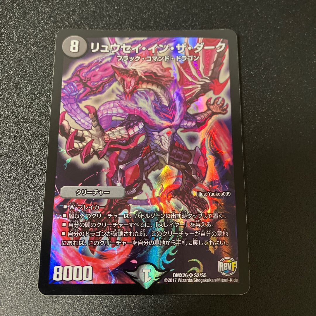 リュウセイ・イン・ザ・ダーク