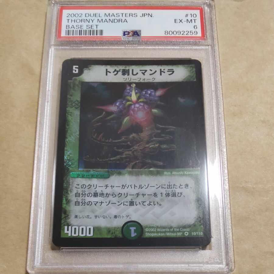 トゲ刺しマンドラ