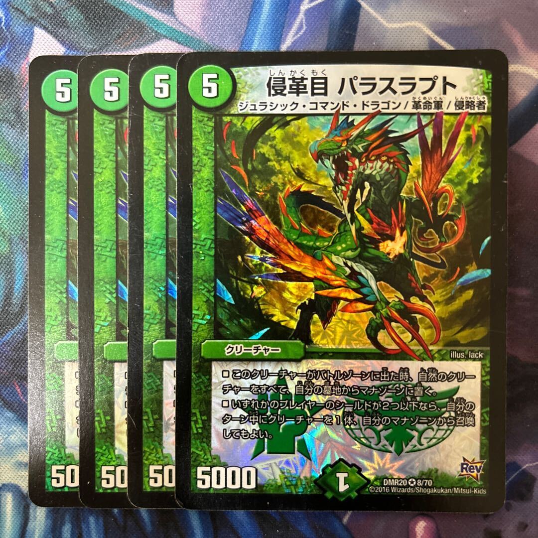 侵革目 Parasラプト