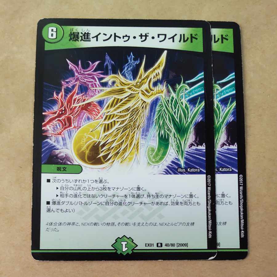 爆進イントゥ・ザ・ワイルド