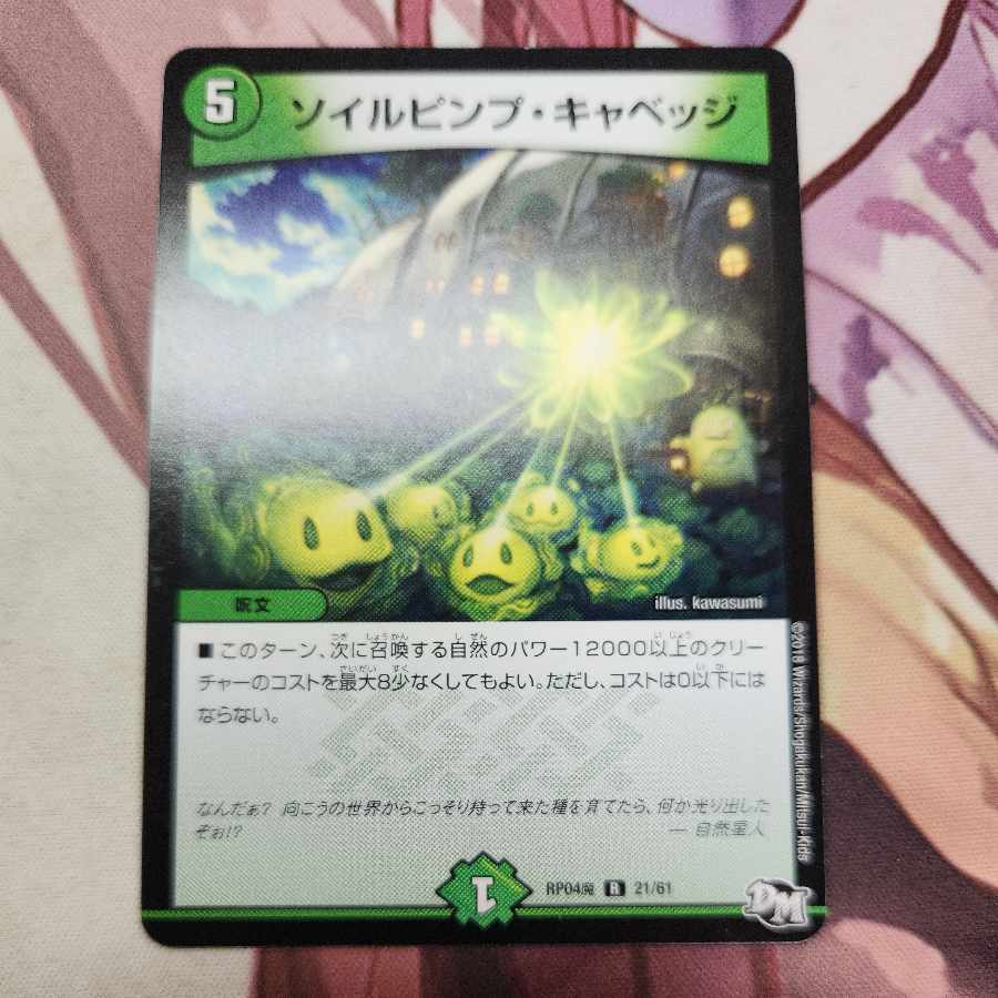 ソイルピンプ・キャベッジ